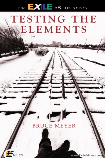 Book Cover for Testing the Elements by Bruce Meyer