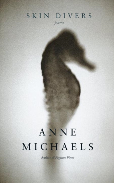 Book Cover for Skin Divers by Anne Michaels