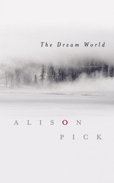 Book Cover for Dream World by Alison Pick