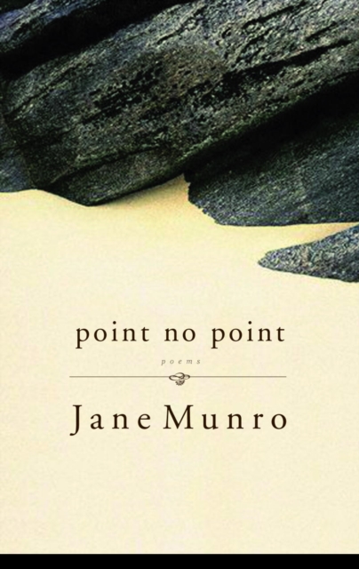 Book Cover for Point No Point by Jane Munro