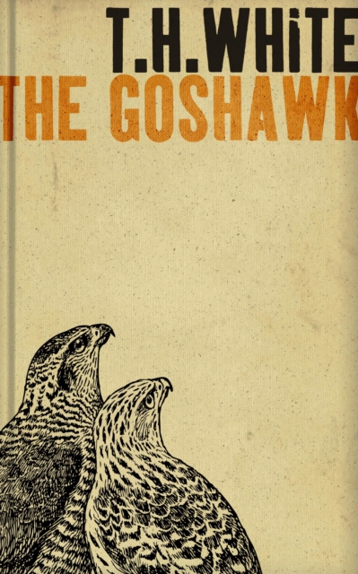 Goshawk