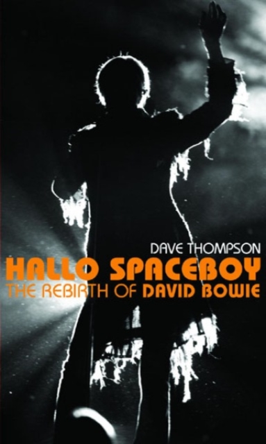 Book Cover for Hallo Spaceboy by Thompson, Dave