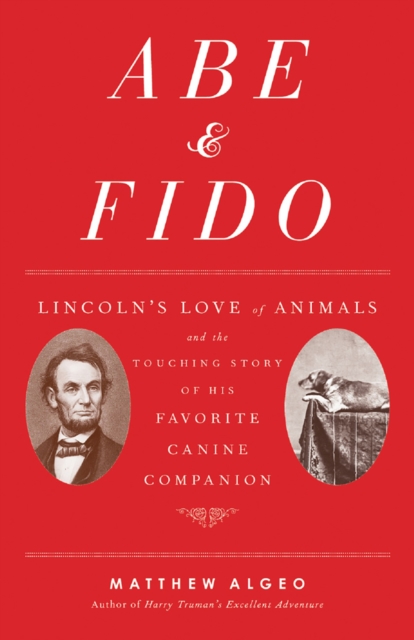 Book Cover for Abe & Fido by Algeo, Matthew