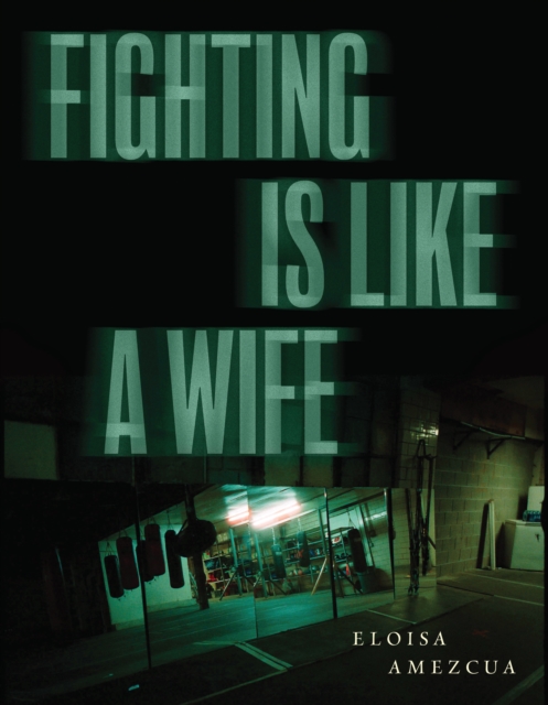 Book Cover for Fighting Is Like a Wife by Eloisa Amezcua