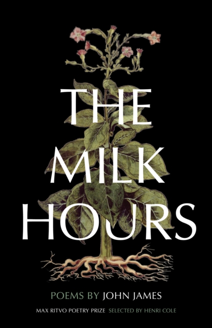 Book Cover for Milk Hours by John James