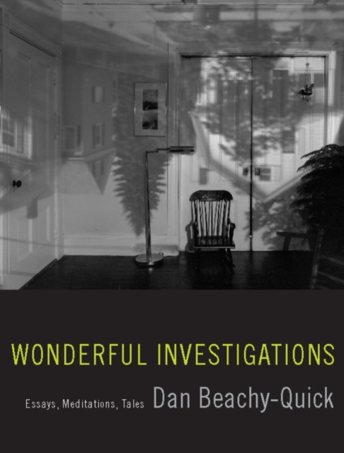 Book Cover for Wonderful Investigations by Beachy-Quick, Dan