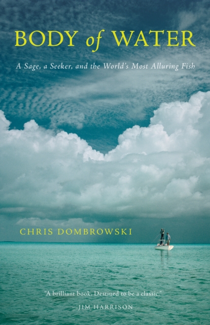 Book Cover for Body of Water by Chris Dombrowski