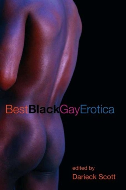 Book Cover for Best Black Gay Erotica by 