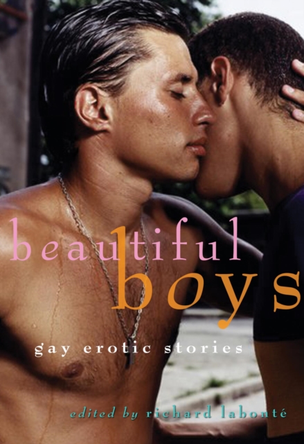 Book Cover for Beautiful Boys by 