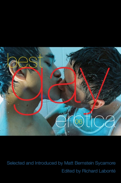 Book Cover for Best Gay Erotica 2006 by 