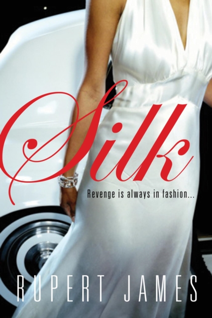 Book Cover for Silk by Rupert James