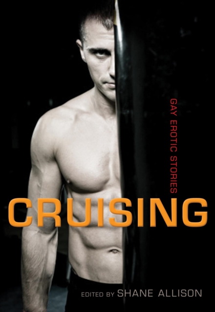 Book Cover for Cruising by 