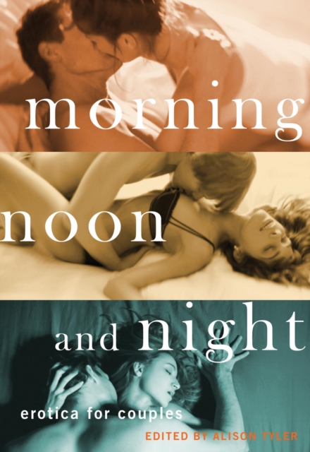 Book Cover for Morning, Noon and Night by 