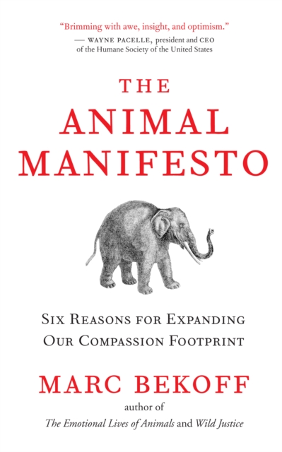 Book Cover for Animal Manifesto by Marc Bekoff