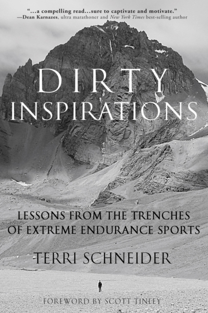 Book Cover for Dirty Inspirations by Terri Schneider