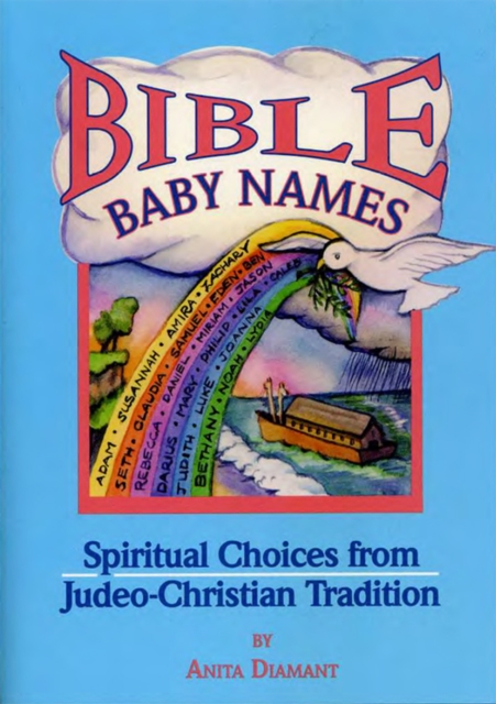 Book Cover for Bible Baby Names by Diamant, Anita