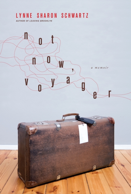 Book Cover for Not Now, Voyager by Lynne Sharon Schwartz