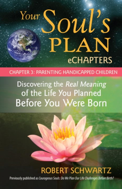 Book Cover for Your Soul's Plan eChapters - Chapter 3: Parenting Handicapped Children by Robert Schwartz