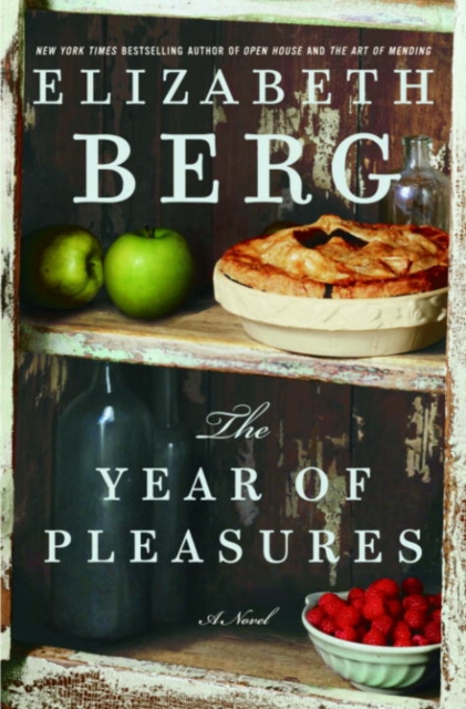 Book Cover for Year of Pleasures by Elizabeth Berg