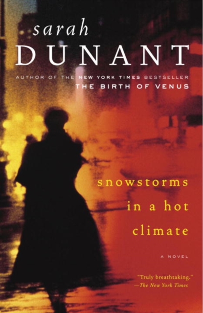 Book Cover for Snowstorms in a Hot Climate by Sarah Dunant