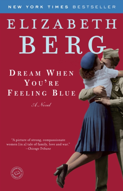 Book Cover for Dream When You're Feeling Blue by Elizabeth Berg