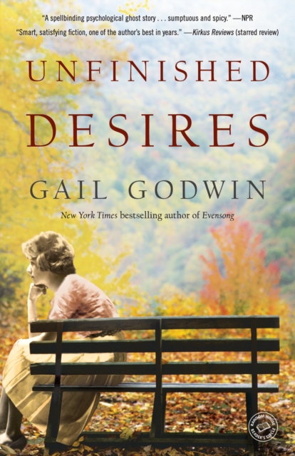 Book Cover for Unfinished Desires by Gail Godwin