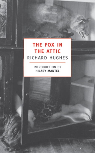 Book Cover for Fox in the Attic by Hughes, Richard