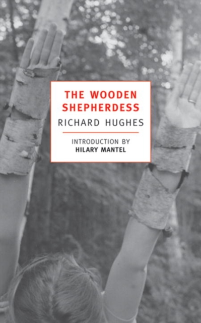 Book Cover for Wooden Shepherdess by Hughes, Richard