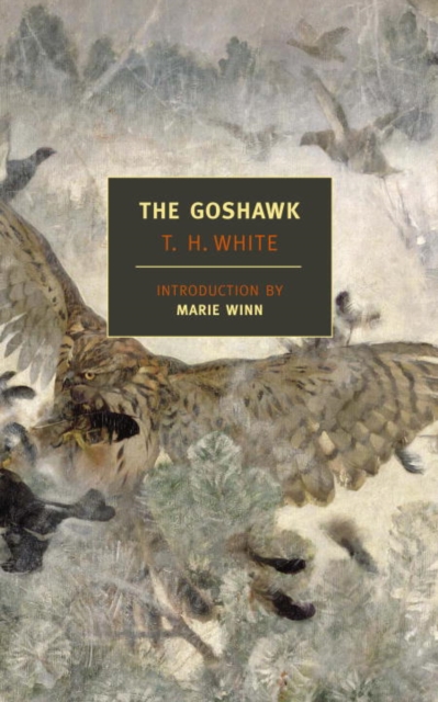 Book Cover for Goshawk by T.H. White