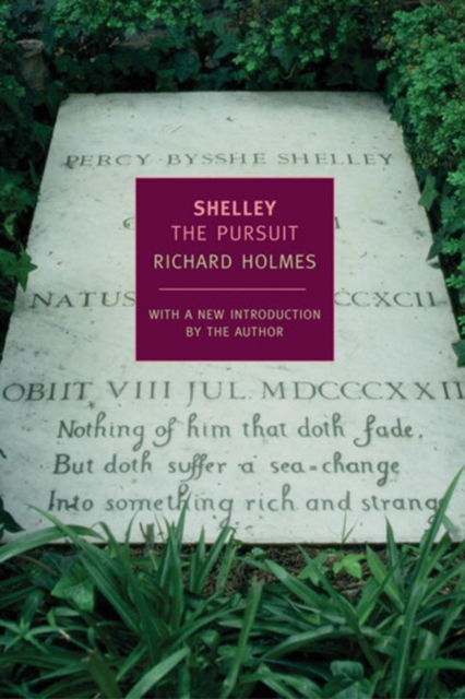 Book Cover for Shelley: The Pursuit by Richard Holmes