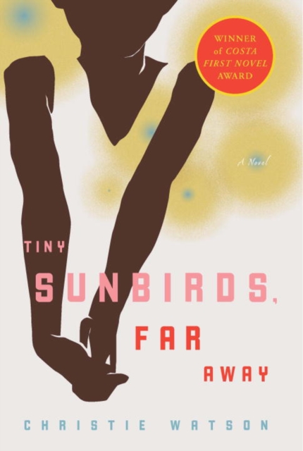 Book Cover for Tiny Sunbirds, Far Away by Christie Watson