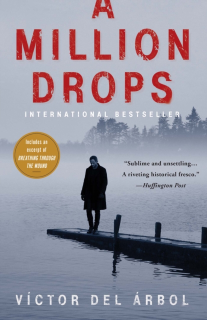 Book Cover for Million Drops by Victor del Arbol