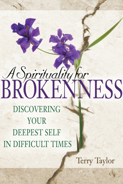 Book Cover for Spirituality for Brokenness by Taylor, Terry