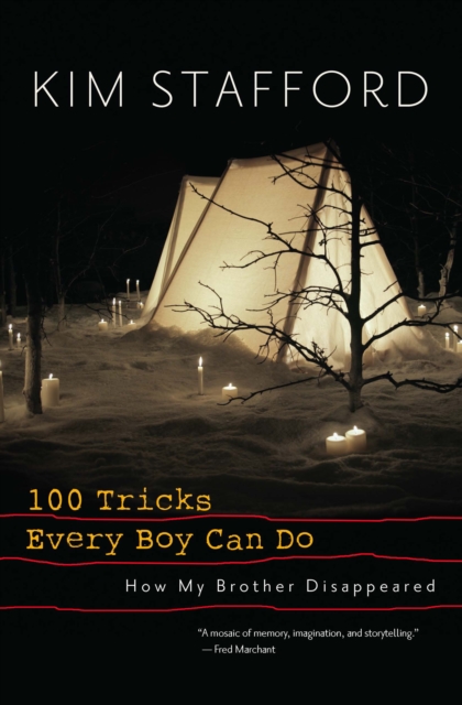 Book Cover for 100 Tricks Every Boy Can Do by Kim Stafford