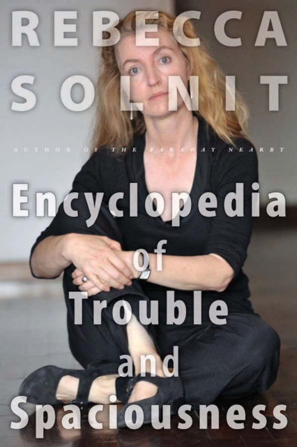 Book Cover for Encyclopedia of Trouble and Spaciousness by Rebecca Solnit