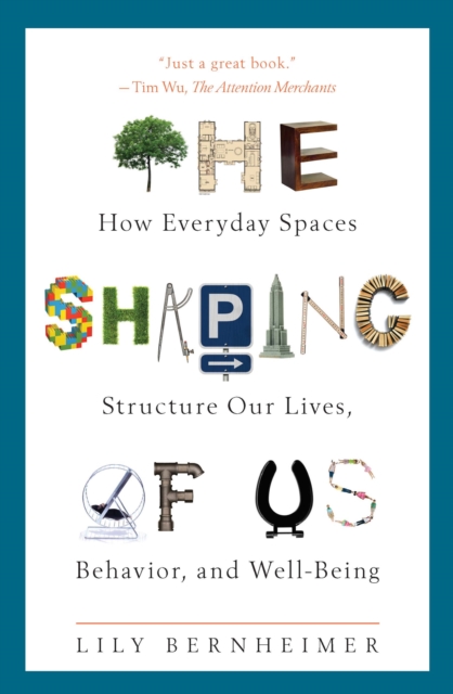 Book Cover for Shaping of Us by Lily Bernheimer