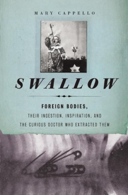 Book Cover for Swallow by Mary Cappello