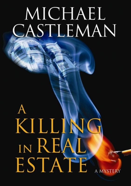 Book Cover for Killing in Real Estate by Michael Castleman