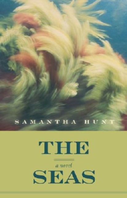 Book Cover for Seas by Samantha Hunt