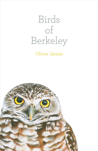 Book Cover for Birds of Berkeley by Oliver James