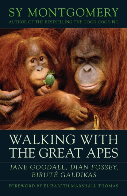 Book Cover for Walking with the Great Apes by Sy Montgomery