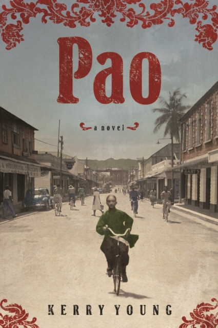 Book Cover for Pao by Young Kerry Young