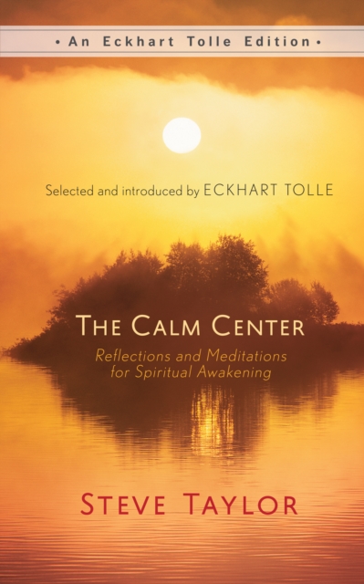 Book Cover for Calm Center by Steve Taylor