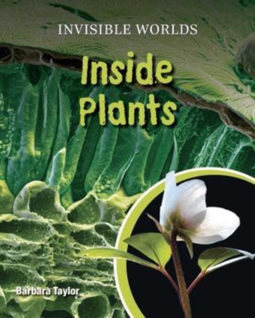Book Cover for Inside Plants by Barbara Taylor