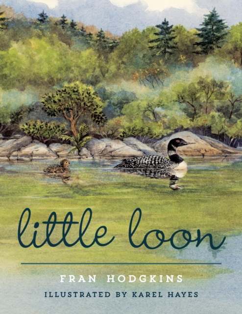 Book Cover for Little Loon by Fran Hodgkins