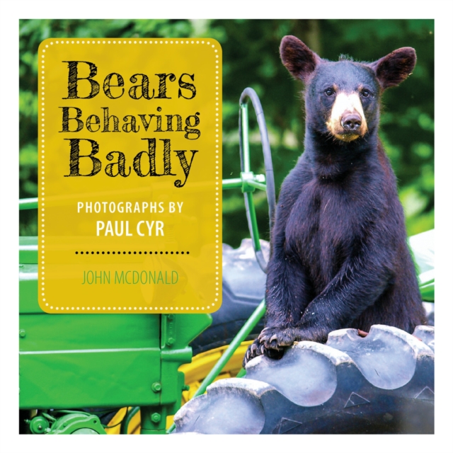 Book Cover for Bears Behaving Badly by John McDonald