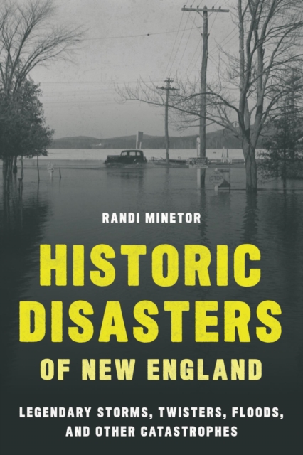 Book Cover for Historic Disasters of New England by Randi Minetor