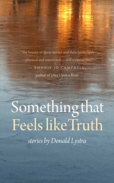 Book Cover for Something That Feels Like Truth by Donald Lystra