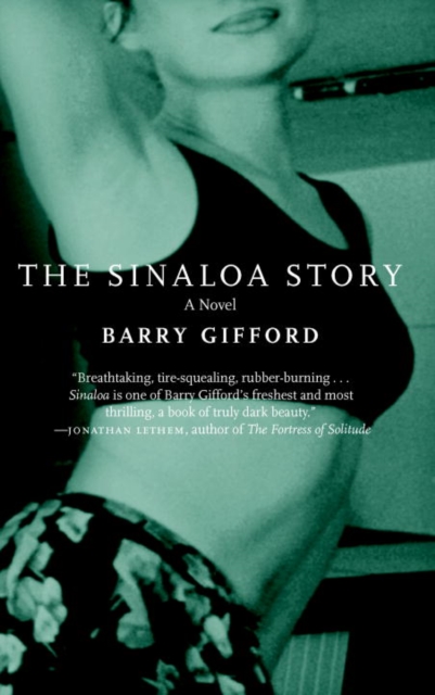 Book Cover for Sinaloa Story by Barry Gifford