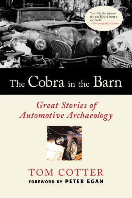 Book Cover for Cobra in the Barn by Cotter, Tom